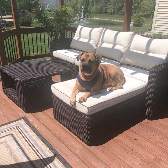 Meet your Dog Mom Posher, Christina - Picture 2 of 8